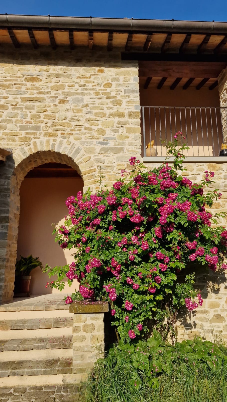 Esterno della villa